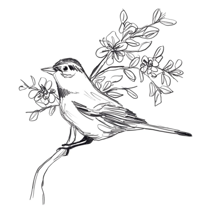Picture of SIMPLE SONGBIRD SKETCHES III