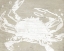 Picture of WEATHERED CRAB II