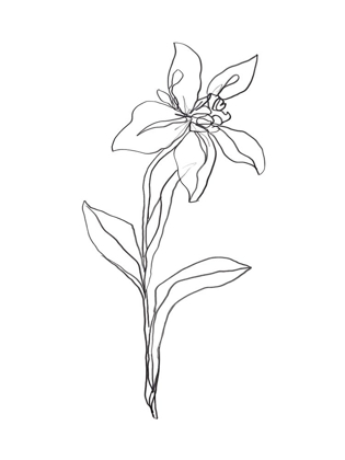 Picture of SIMPLE DAFFODIL I