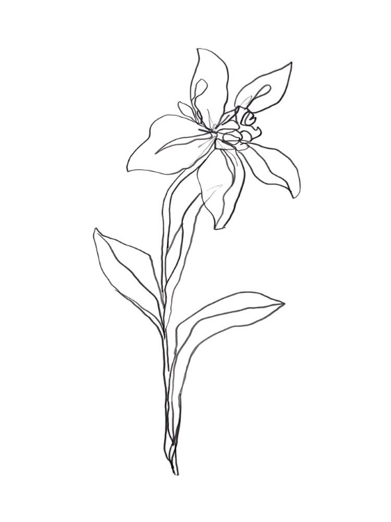 Picture of SIMPLE DAFFODIL I