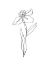 Picture of SIMPLE DAFFODIL II