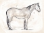 Picture of VINTAGE EQUINE SKETCH II