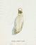 Picture of LUCKY CHARM III
