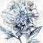 Picture of JAPANESE PEONY II