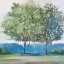 Picture of FALL BREEZE THROUGH 