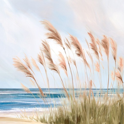 Picture of BEACH PAMPAS