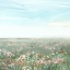 Picture of WILDFLOWER MEADOW II