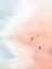 Picture of PINK SAND BEACHES I