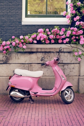 Picture of VESPA