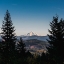 Picture of MOUNTAIN THROUGH THE FOREST