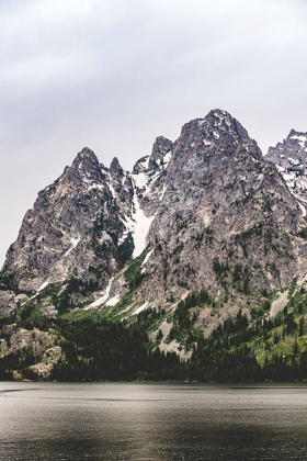 Picture of MOUNTAIN LAKE AND FOREST