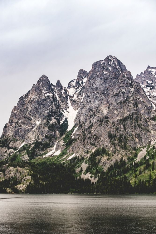 Picture of MOUNTAIN LAKE AND FOREST