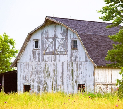 Picture of BARN HOME 