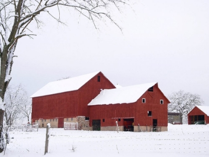 Picture of RED WINTER BARN 