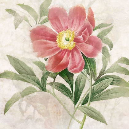 Picture of RUBY FLORAL II
