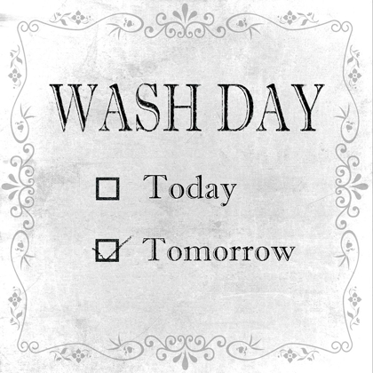 Picture of TOMORROWS WASH