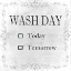 Picture of TOMORROWS WASH
