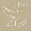 Picture of WHITE DOVE II 