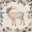 Picture of DASHER
