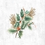 Picture of MISTLETOE BRANCH