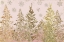 Picture of WINTER WONDER
