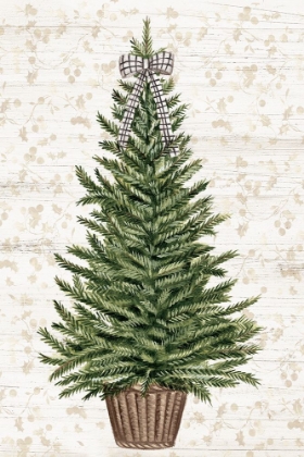 Picture of EVERYGREEN CHRISTMAS TREE 