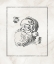 Picture of BELIEVE IN SANTA 