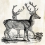 Picture of TWO REINDEERS 