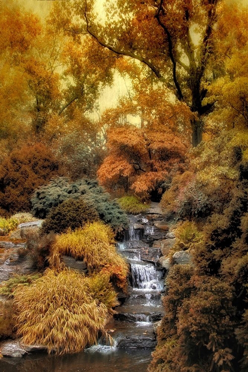 Picture of JAPANESE ROCK GARDEN