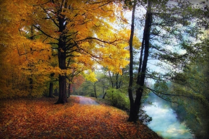 Picture of AUTUMN RIVER VIEW