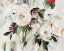 Picture of FLORAL JEWELS