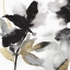 Picture of BLACK PETALS GOLD LEAVES I