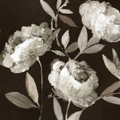 Picture of PEONIES ON EBONY 