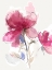 Picture of ROSY BLOOM I 