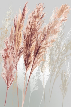 Picture of BLUSHING POMP GRASS I 
