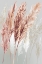 Picture of BLUSHING POMP GRASS I 