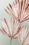 Picture of GRASSES PALMS I 