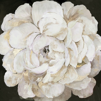 Picture of WHITE PEONIA 