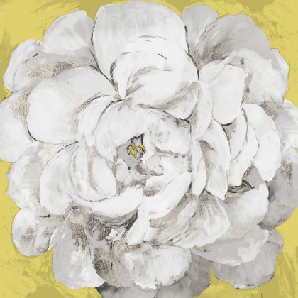 Picture of WHITE PEONIA YELLOW VERSION