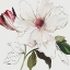 Picture of PINK BONTANICAL I 