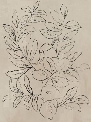 Picture of OUTLINED LEAVES I 