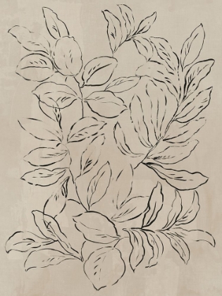 Picture of OUTLINED LEAVES II