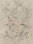 Picture of OUTLINED LEAVES II