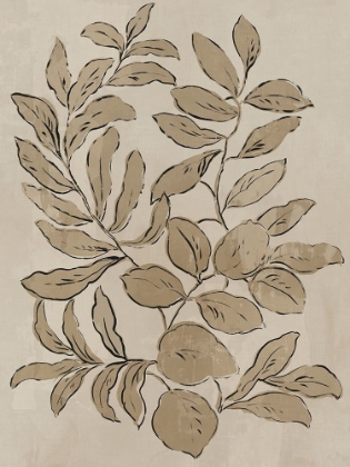 Picture of LEAVES SKETCHES I 