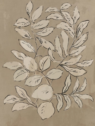 Picture of LEAVES SKETCHES II