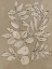 Picture of LEAVES SKETCHES II