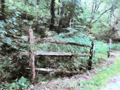 Picture of ABANDONED FENCE