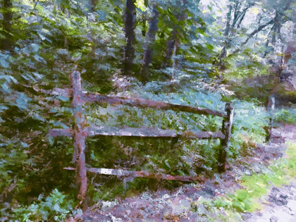 Picture of ABANDONED FENCE