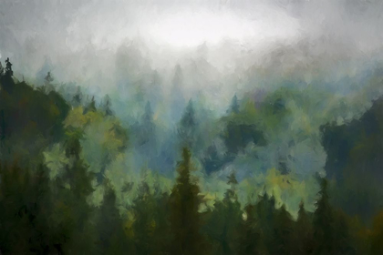 Picture of MISTY WOODS 