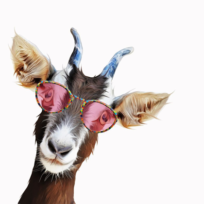 Picture of GOOFY GOAT 